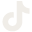 TikTok icon